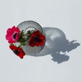 ВАЗА GUAXSMADRAS S 1610GR