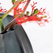 ВАЗА GUAXS KOONAM M, 1642DG