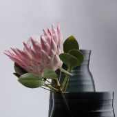 ВАЗА GUAXS MATHURA M, ЦВЕТ: ТЕМНЫЙ ИНДИГО(СИНИЙ) 1657DI ВАЗА GUAXS MATHURA M, ЦВЕТ: ТЕМНЫЙ ИНДИГО(СИНИЙ) 1657DI