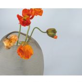 ВАЗА GUAXS PATARA TALL, ЦВЕТ: ДЫМЧАТОСЕРЫЙ 1719GY ВАЗА GUAXS PATARA TALL, ЦВЕТ: ДЫМЧАТОСЕРЫЙ 1719GY