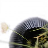 ВАЗА GUAXS NAGAA L, ЦВЕТ: ЧЕРНЫЙ 1750BK ВАЗА GUAXS NAGAA L, ЦВЕТ: ЧЕРНЫЙ 1750BK