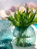 Ваза Guaxs CLEMENTE BOWL,clear/petrol,арт.:: 1776CLPE Ваза Guaxs CLEMENTE BOWL,clear/petrol,арт.:: 1776CLPE