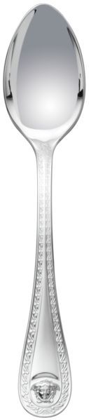 Чайная ложка Versace набор из 2-х шт., CUTLERY MEDUSA SILVER арт. 19300-120900-70007