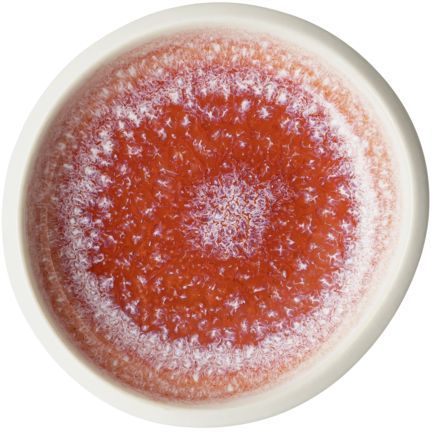 Салатник 8  см Rosenthal  Junto арт.21540-405254-60708 Салатник 8  см Rosenthal  Junto арт.21540-405254-60708