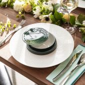 Тарелка для гурманов 28 см., COLLECTION L PERLES DE ROSEE, DEGRENNE, арт.233927 Тарелка для гурманов 28 см., COLLECTION L PERLES DE ROSEE, DEGRENNE, арт.233927