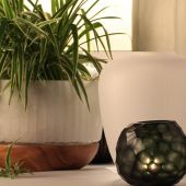 NAMSAM PПОДСВЕЧНИК GUAXS  XL, ЦВЕТ: ПЛАТАН/ПРОЗРАЧНЫЙ 5118CL NAMSAM PПОДСВЕЧНИК GUAXS  XL, ЦВЕТ: ПЛАТАН/ПРОЗРАЧНЫЙ 5118CL