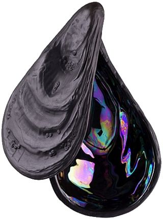 Коробка  Rosenthal  Auster арт.69057-105000-24995 Коробка  Rosenthal  Auster арт.69057-105000-24995