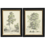 ГРАВЮРА Arbres, АРТИКУЛ CZCT0755-01