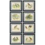 Grv. Oiseaux de Buffon C. Noir, АРТИКУЛ CZCT1010-61