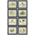 Grv. Oiseaux de Buffon C. Noir, АРТИКУЛ CZCT1010-61