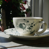 Чайная пара  LES OISEAUX, 450 мл,, 18,8 cm GIEN